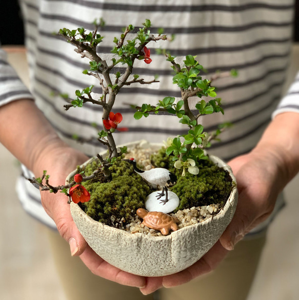  第10張的照片