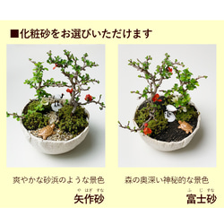 第6張的照片
