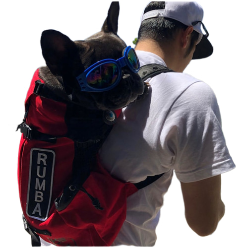 愛犬リュック用 ネームタグ【色の組合せ自由！】【刺繍ワッペン