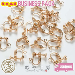 ピアス 10種付き♪ ハンドメイド キット ap010498 【ピアス】 金具