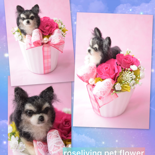 羊毛フェルトのペットフラワー 全犬種（ドール1個 花2輪） 羊毛