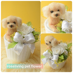 羊毛フェルト ハンドメイド 犬 りぼんページ 犬ぽんぽん | 株式会社誠文堂新光社