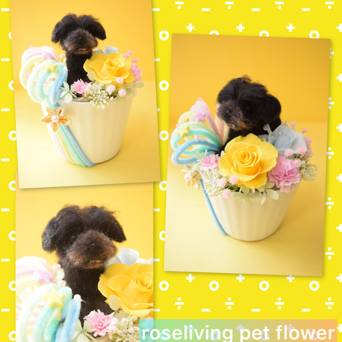 羊毛フェルトのペットフラワー 全犬種（ドール1個 花2輪）完全オーダー