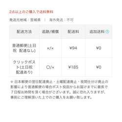 ･ﾟ❁⃘プリーツ 不織布マスク専用❣️インナーマスクカバー･ﾟ❁⃘ レース･ﾟ❁⃘ブライダル･ﾟ❁⃘セレモニー･ﾟ❁⃘ 13枚目の画像