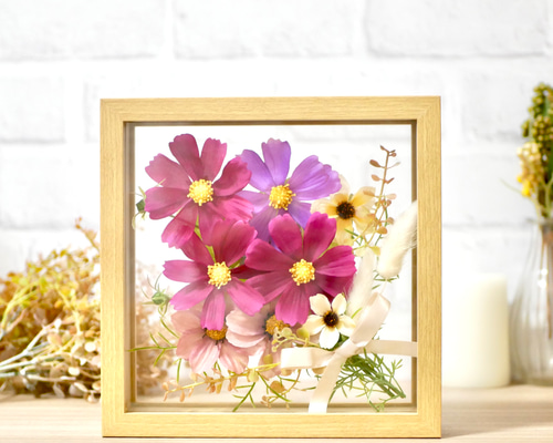 7bd03ca3f5af10d2f701d61f101afa