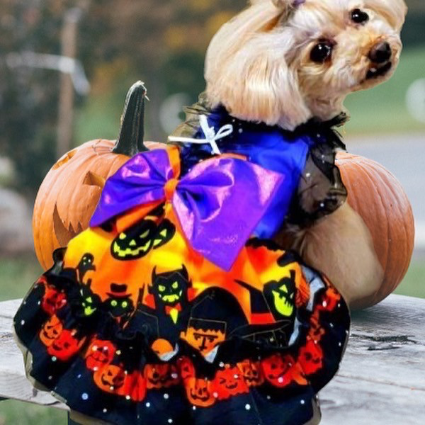 犬服ハンドメイド✨ハロウィン✨ 犬服ハンドメイド❤︎ハロウィン❤︎リボン取り外し可能❤︎