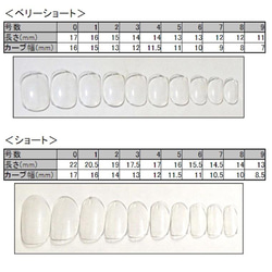 1/5締切！【サイズオーダー】成人式・卒業式・着物 和柄ネイルチップ⑤ 1/7までに速達発送可 5枚目の画像