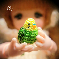 【超ミニチュアあみぐるみ】選べるセキセイインコさん 4枚目の画像