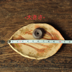  第9張的照片