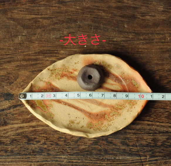  第9張的照片