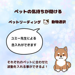 【 最強の薬石 】ペット用 健康のお守り 【 北投石 】 6枚目の画像