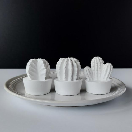 サボテン/多肉植物のインテリアストーン・アロマストーン 3個セット