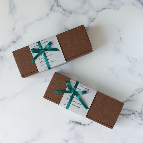 サボテン/多肉植物のインテリアストーン・アロマストーン 3個セット