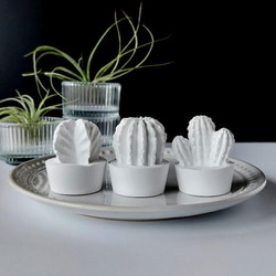 純粋白檀 サンダルウッド 最高品質31ml 天然純粋精油 アロマ