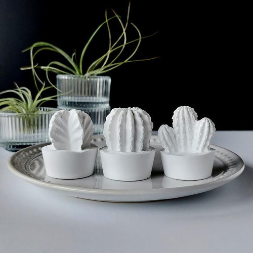 アロマストーンモンステラ&サボテンセット サボテン＆鉢 アロマストーンセット C - メルカリ