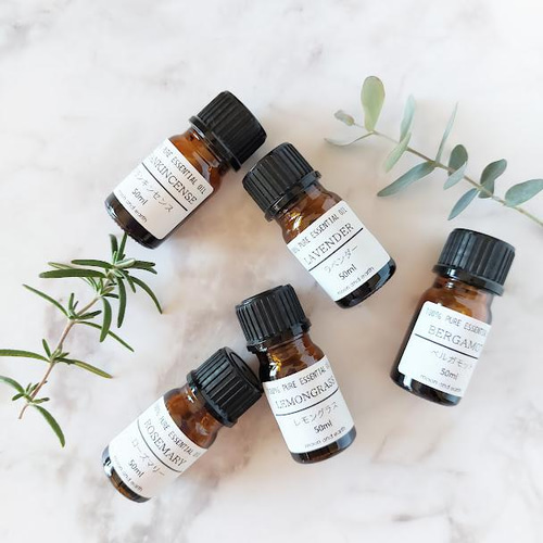 サボテン/多肉植物のインテリアストーン・アロマストーン 3個セット