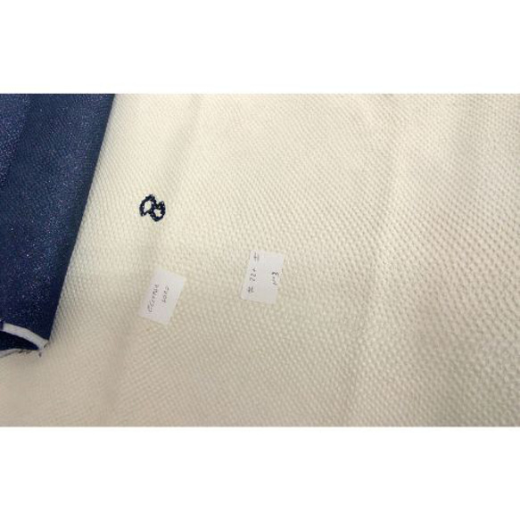 ≪1点モノ≫ ヘビ革（カロング）グレー ** エキゾチックレザー **　#再販まつり2025 8枚目の画像