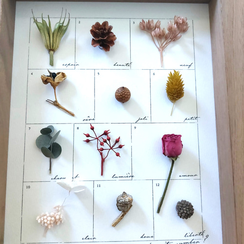 moemento ボタニカル フレーム】A-4・アンティーク調 ホワイト ハー