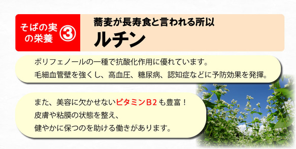 そばの実 国産 400g 北海道産 むき実 抜き実 スーパーフード レジスタントプロテイン 不溶性食物繊維 1604 5枚目の画像