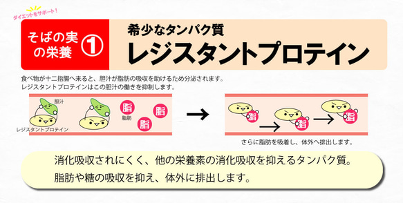 そばの実 国産 800g(400g×2) 北海道産 スーパーフード レジスタントプロテイン 不溶性食物繊維 1604k 3枚目の画像