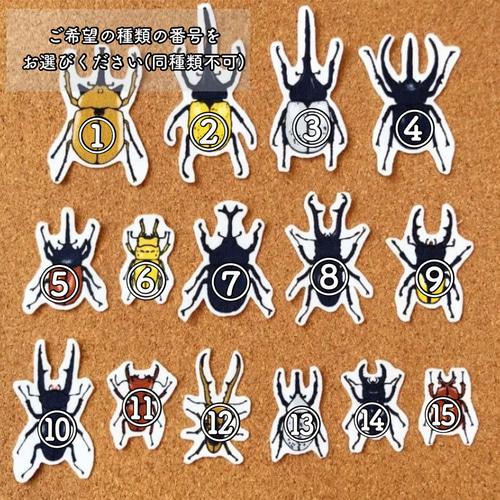 アイロン接着｜カブトムシ｜昆虫｜10枚入り｜入園入学準備 保育園