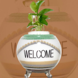 カラーサンドアート/パキラ/開店祝い/開業祝い カラーサンドアート/パキラ/開店祝い/開業祝い