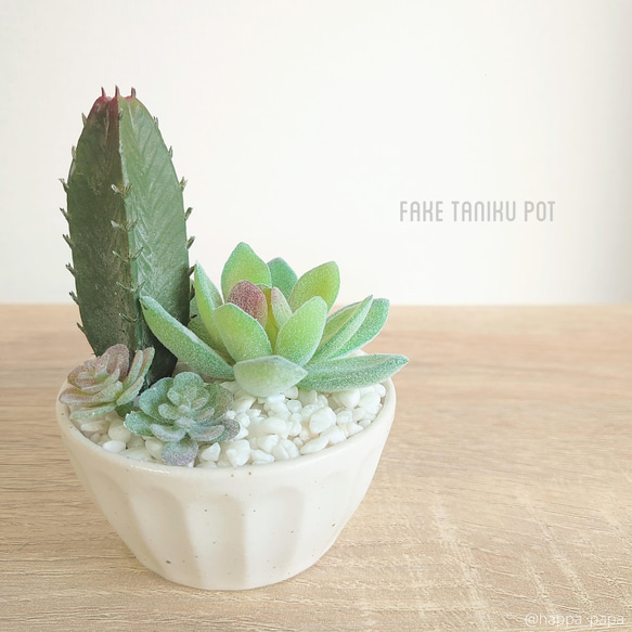 フェイクグリーン 【 FAKE TANIKU POT 】 寄植え　観観葉植物　多肉植物　枯れない　インテリア 1枚目の画像