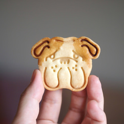 クッキー型　ブルドッグの顔 7枚目の画像