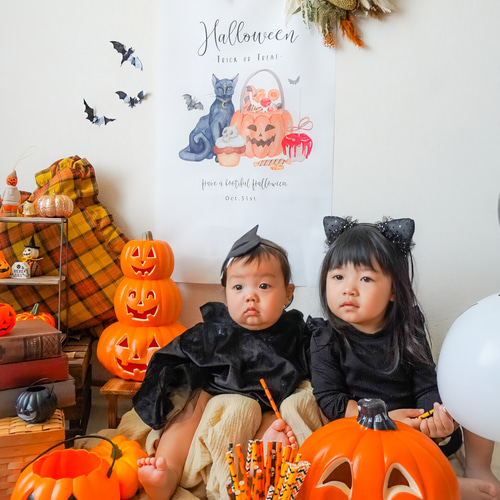 特集掲載【全4種類】ハロウィン タペストリー かぼちゃ 撮影アイテム
