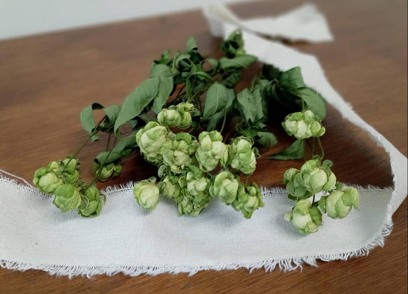 ドライフラワースプレーバラ エクレール その他素材 Rose｡｡ 通販  