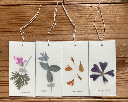 dfcbb9612496a338c26d06ada0605f