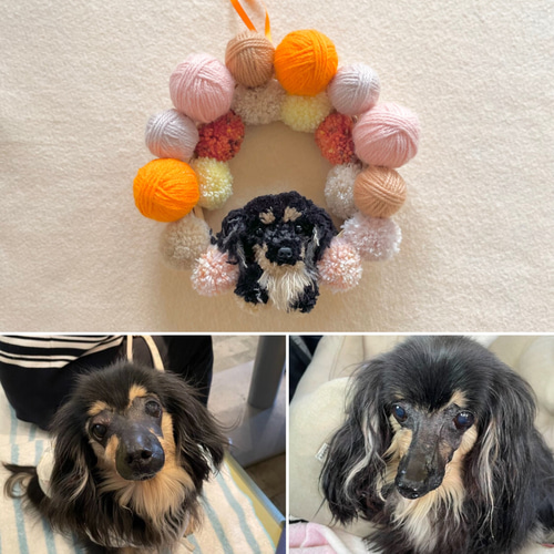 ぽん「3ポメ~お花リース」「ポメと柴犬~インコS字飾り」 ☆ハンカチ☆ BirdCageシリーズ 鳥雑貨・ことりグッズ☆セキセイ