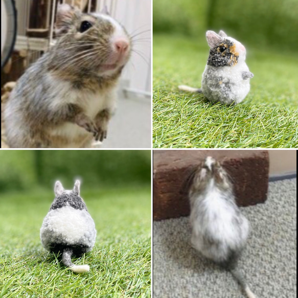 ハムスター プリン チャーム ねずみちゃんのうちの子ポンポンチャーム ハムスター デグー リス