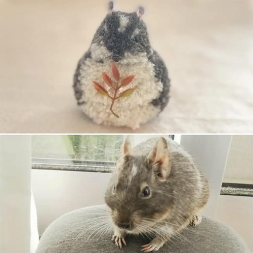 ねずみちゃんのうちの子ポンポンチャーム ハムスター デグー