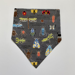 昆虫柄⭐︎120〜130こどもエプロン、三角巾、巾着の3点セット 7枚目の画像