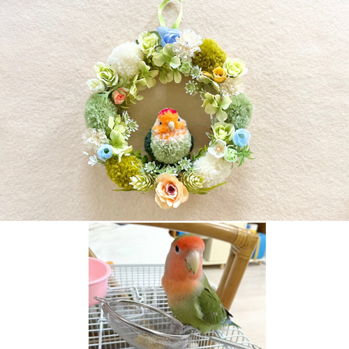 鳥さんのうちの子ポンポンリース インコ 文鳥 オカメインコ