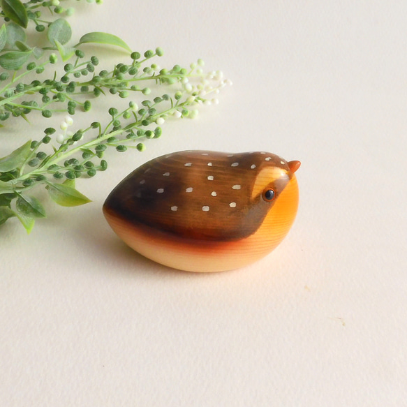 ウズラ (★台付き)  quail / wooden bird 4枚目の画像