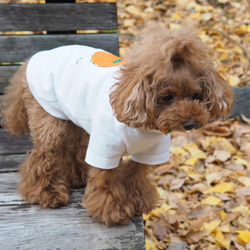 わんことお揃いコーデ2枚セット☆彡 みかん Tシャツ  犬服 ☆ お散歩ミニトート付き ☆お得なセット割引☆ 2枚目の画像