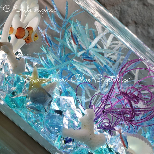 限定 Big ハーバリウム 天然星の砂 海ハーバリウム ハーバリウム・植物