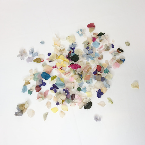 紫陽花ペタル フラワーシャワー ウェディング 花びら ロスフラワー 訳
