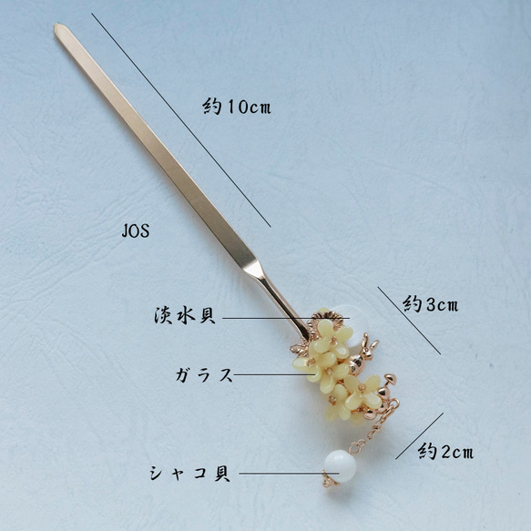  第8張的照片