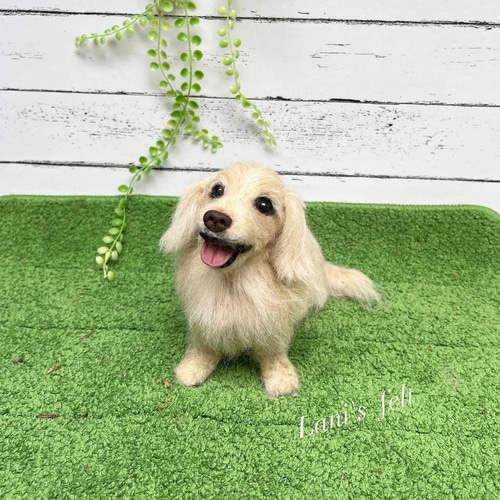 受注製作 》オーダー 犬♡うちの子製作♡羊毛フェルト♡ダックス 受注製作 》オーダー 犬♡うちの子製作♡羊毛フェルト♡ダックス