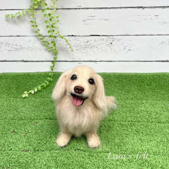 受注製作 》オーダー 犬♡うちの子製作♡羊毛フェルト♡ダックスフンド