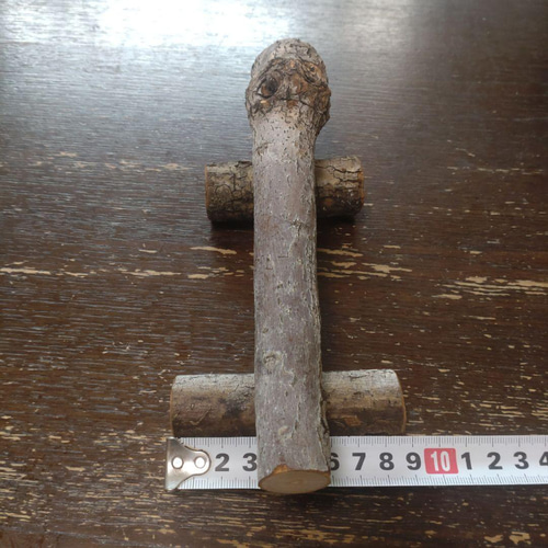 幼鳥、老鳥用の止まり木（枝）(TOY-08-002) 434 おもちゃ