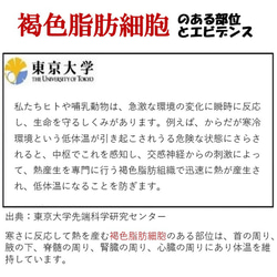 母の日 父の日 還暦祝い 老の日に 3役 瘦せる 冷やす 若返る グッズ「背中クールタイ」内祝い ギフトセット 送料無料 7枚目の画像