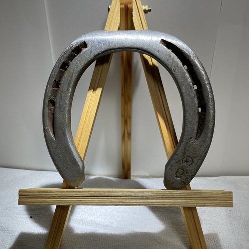 ヤトッチ　馬の蹄100個 sd1_f54225686fe4ec993399fe3b53