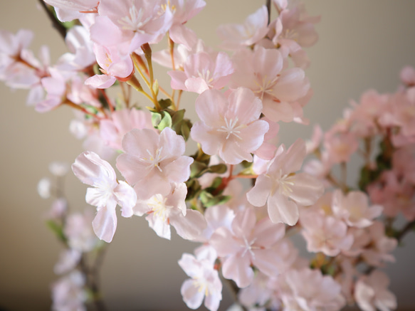 ［大人気］春を運ぶ桜 4本セット♡ 水のいらない 高品質アートフラワー　母の日 桜 ミモザ 5枚目の画像