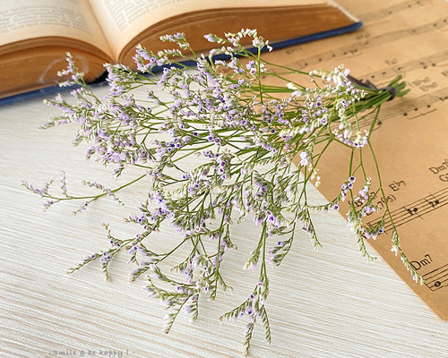 ブルーファンタジアドライ30本 ブルーファンタジア ドライフラワー  