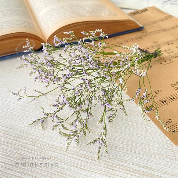 再入荷 】花言葉は「永遠」 ブルーファンタジア ＜ドライフラワー