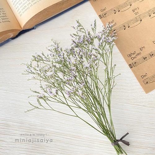 再入荷 】花言葉は「永遠」 ブルーファンタジア ＜ドライフラワー